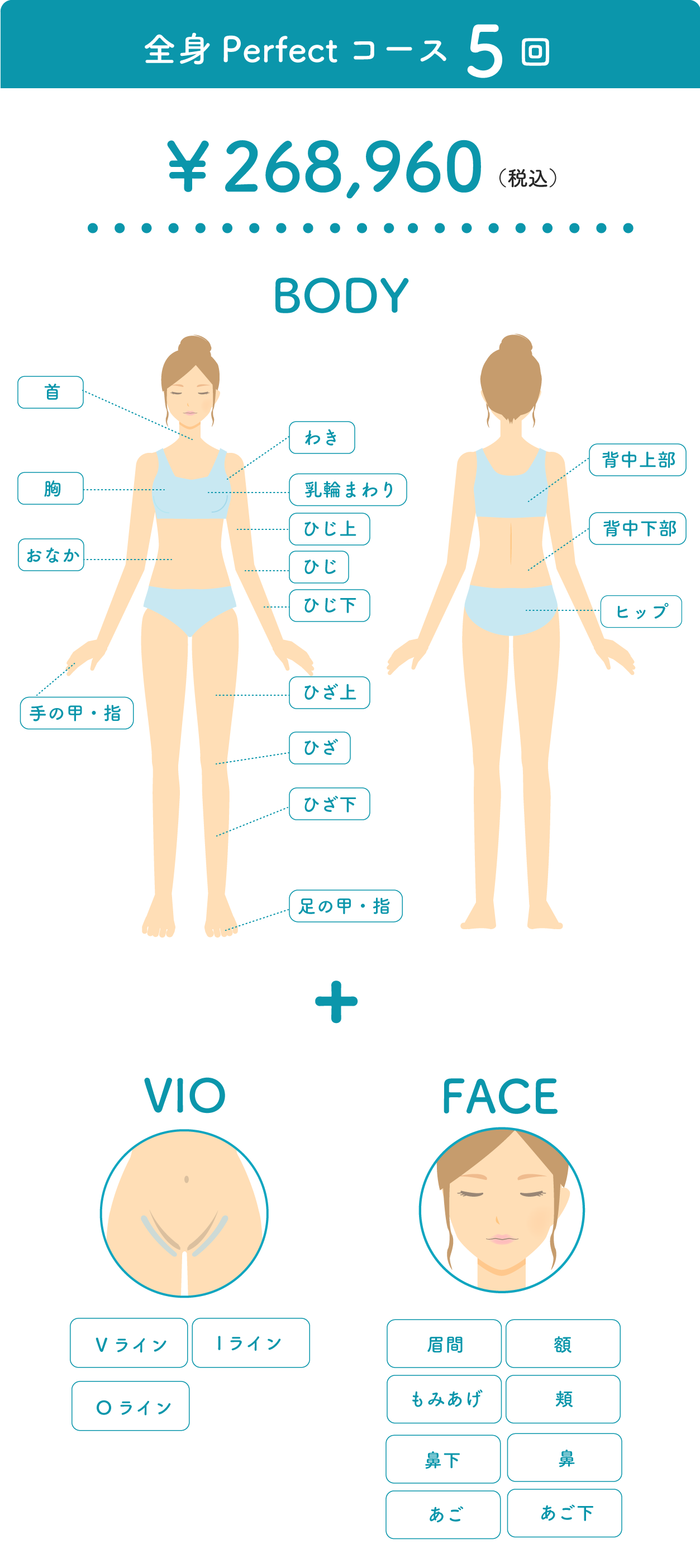 パーフェクトコース