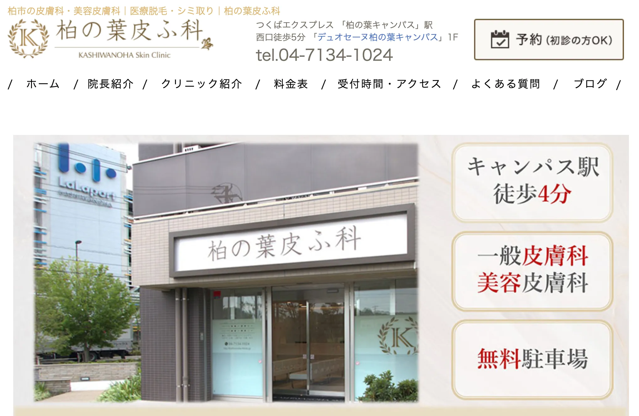 柏の葉皮ふ科