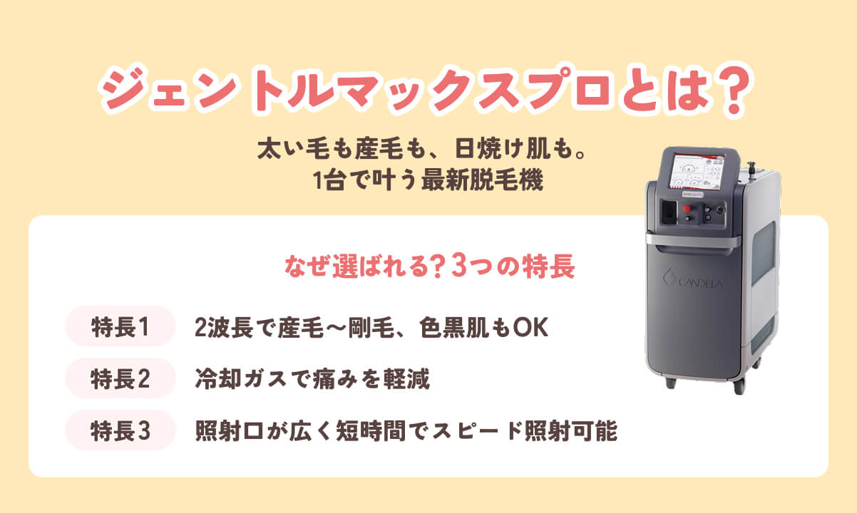 ジェントルマックスプロとは